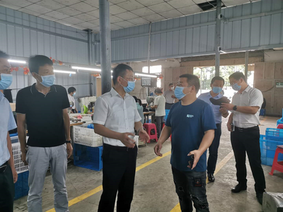 王建華在浮屠調研脫貧攻堅、鄉村振興和巡視反饋問題整改工作